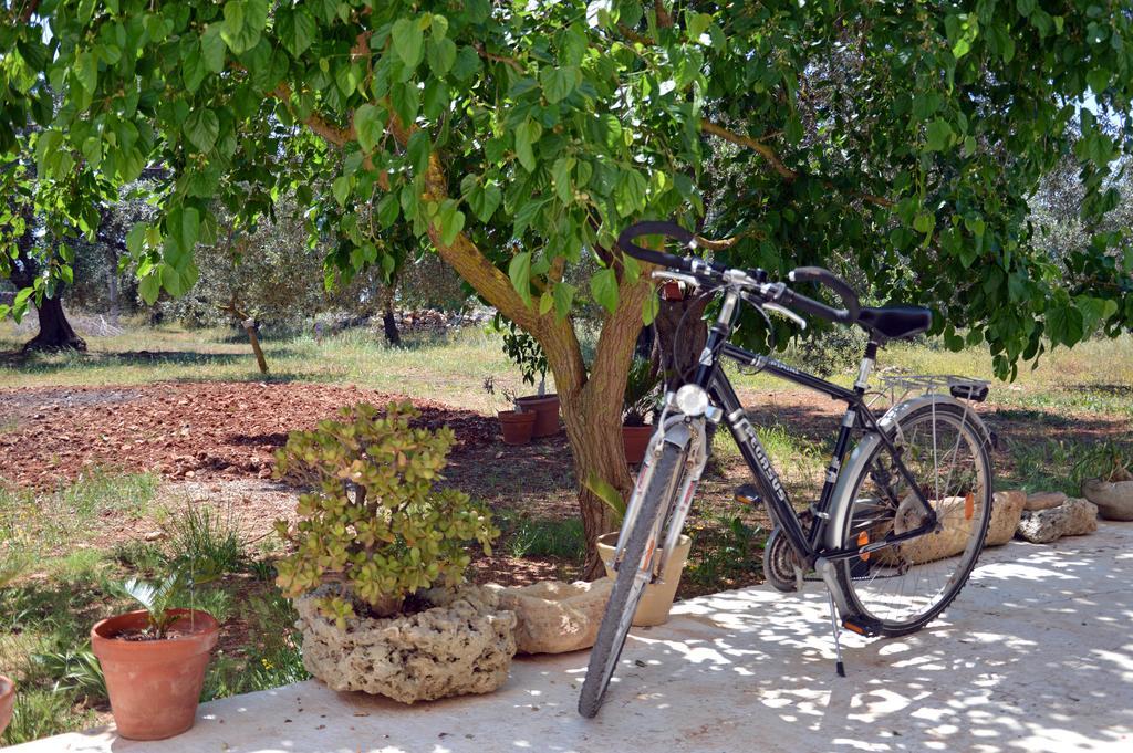 גלטונה Agriturismo Tenuta Del Morige מראה חיצוני תמונה